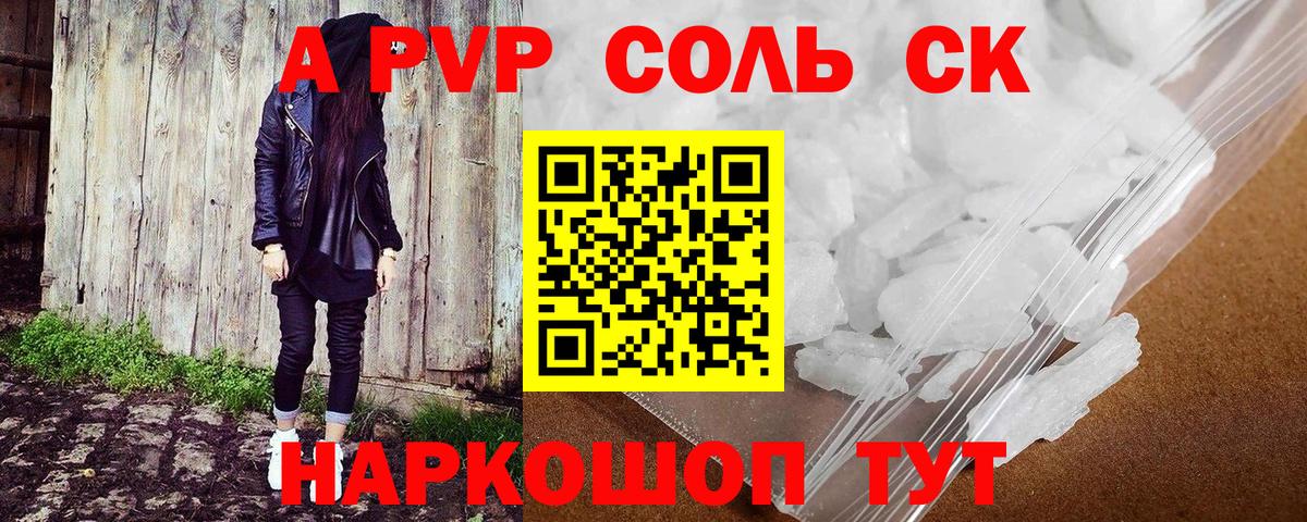 как найти закладки  А ПВП СК  Вход с VPN  Ковров 