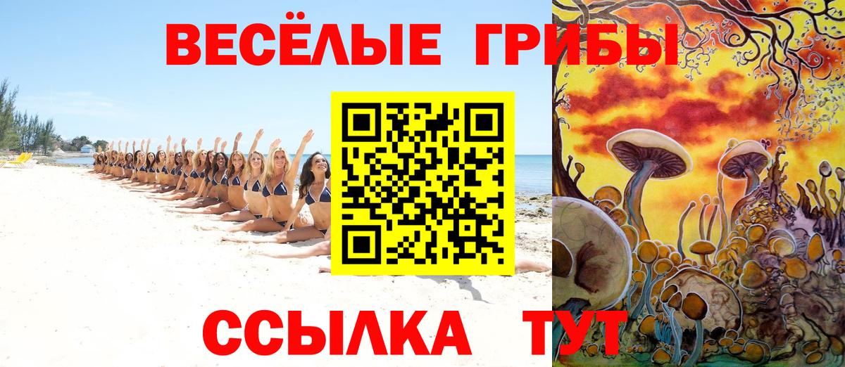 Ковров  Галлюциногенные грибы GOLDEN TEACHER  Вход с VPN  Галлюциногенные грибы прущие грибы 